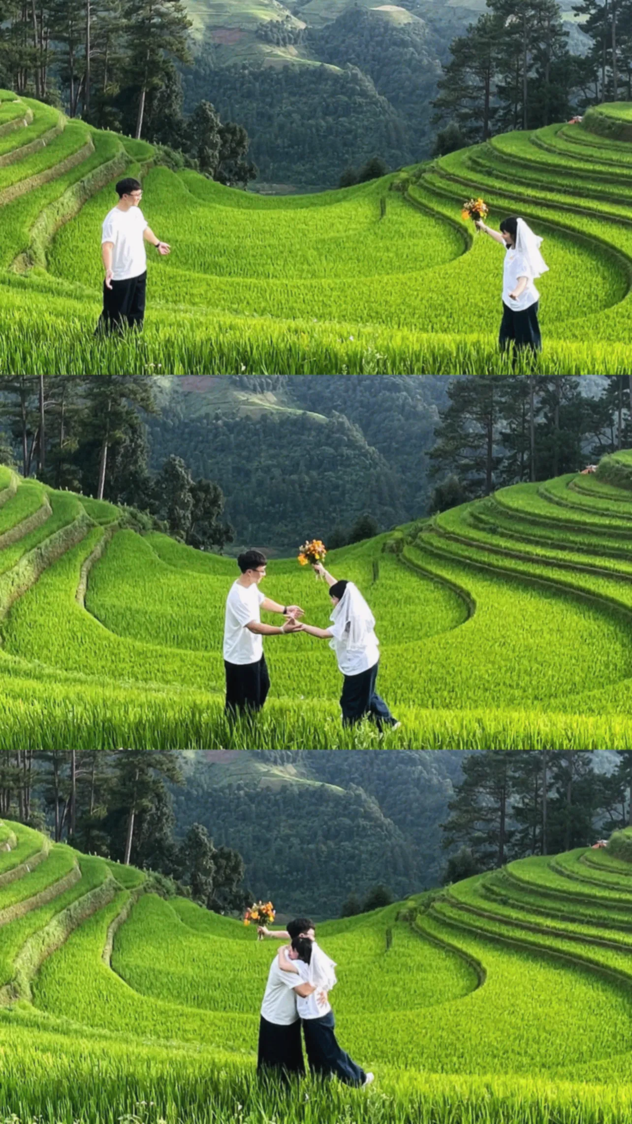 Ảnh 9